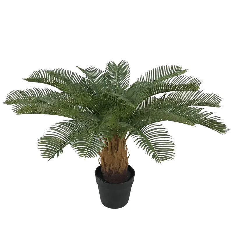 Planta Bonsai Artificial Cycas - Home Decor Handicraft avaliação e preço