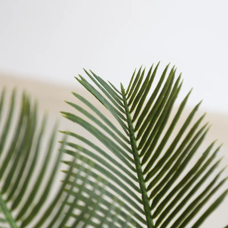Planta Bonsai Artificial Cycas - Home Decor Handicraft avaliação e preço