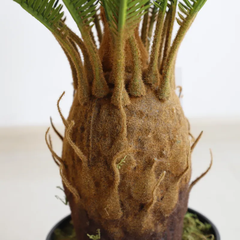 Planta Bonsai Artificial Cycas - Home Decor Handicraft avaliação e preço
