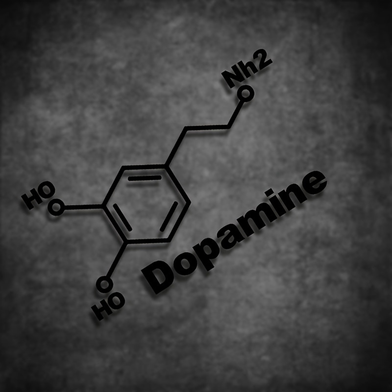 Adesivo de vinil PET com estru - Home Decor Dopamine avaliação e preço